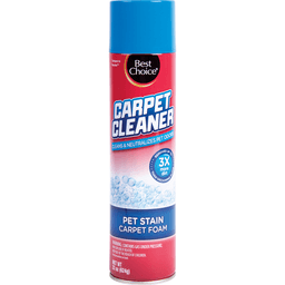 slide 1 of 1, Best Choice Pet Stain Foam Carpet Cleaner, 22 oz