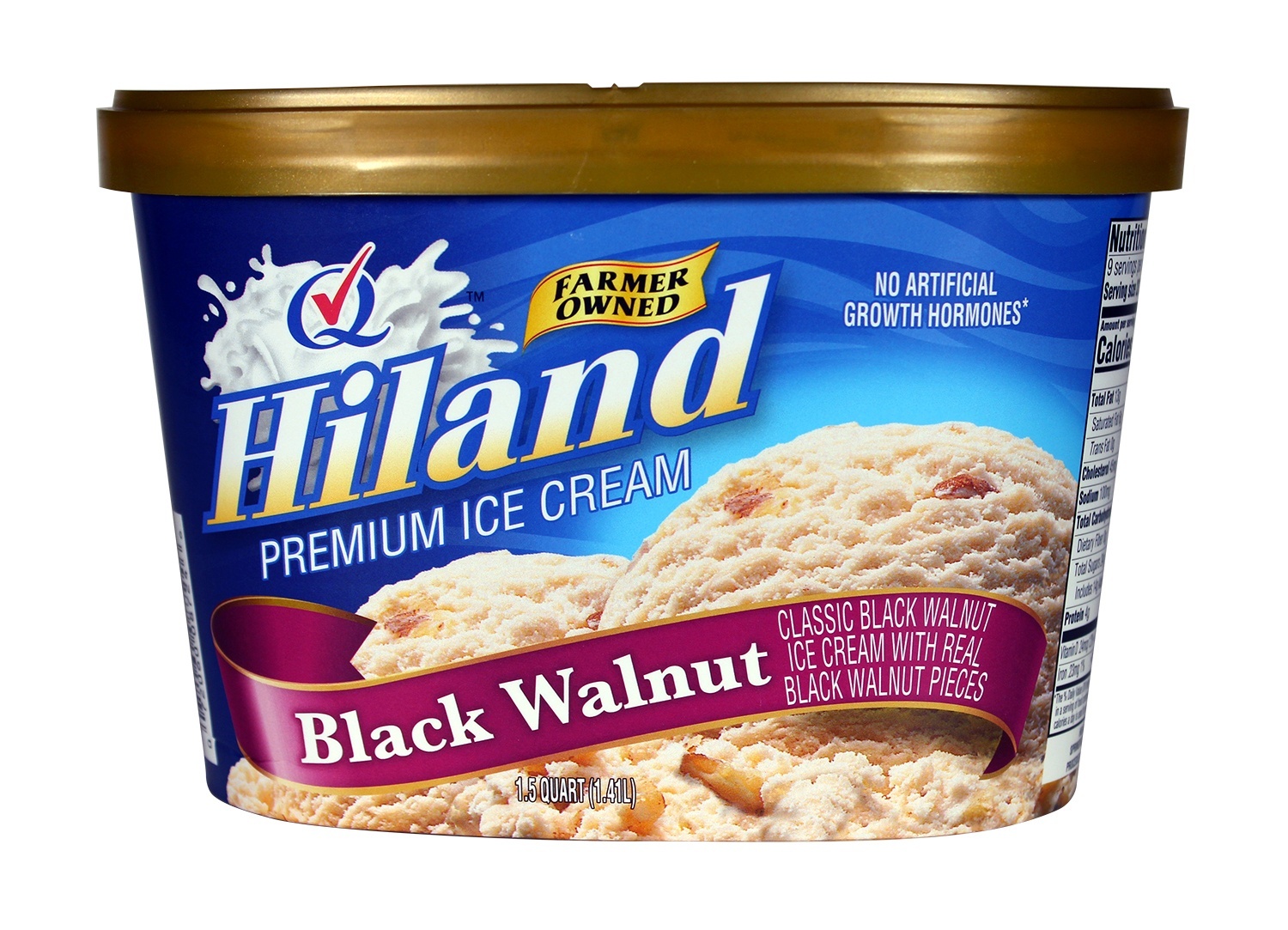 slide 1 of 1, Hiland Dairy Premium Black Walnut Ice Cream, 48 oz