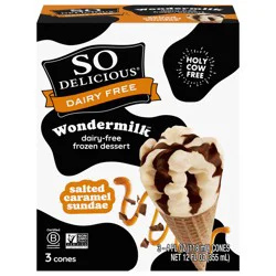 So Delicious Plant Based Blend Frozen Dessert Cones, Salted Caramel Sundae, Dairy Free, Vegan, Non-GMO, Kosher, 3 Count Pack