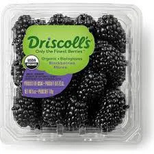 Organic Blackberries