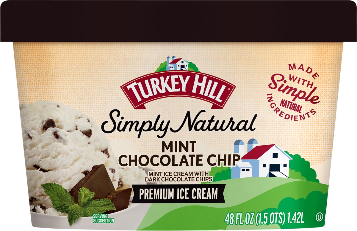 slide 2 of 2, Turkey Hill Mint Chocolate Chip, 48 fl oz