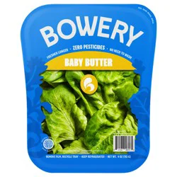Bowery Baby Butter Lettuce - 4.5 Oz