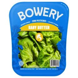 Bowery Baby Butter Lettuce - 4.5 Oz