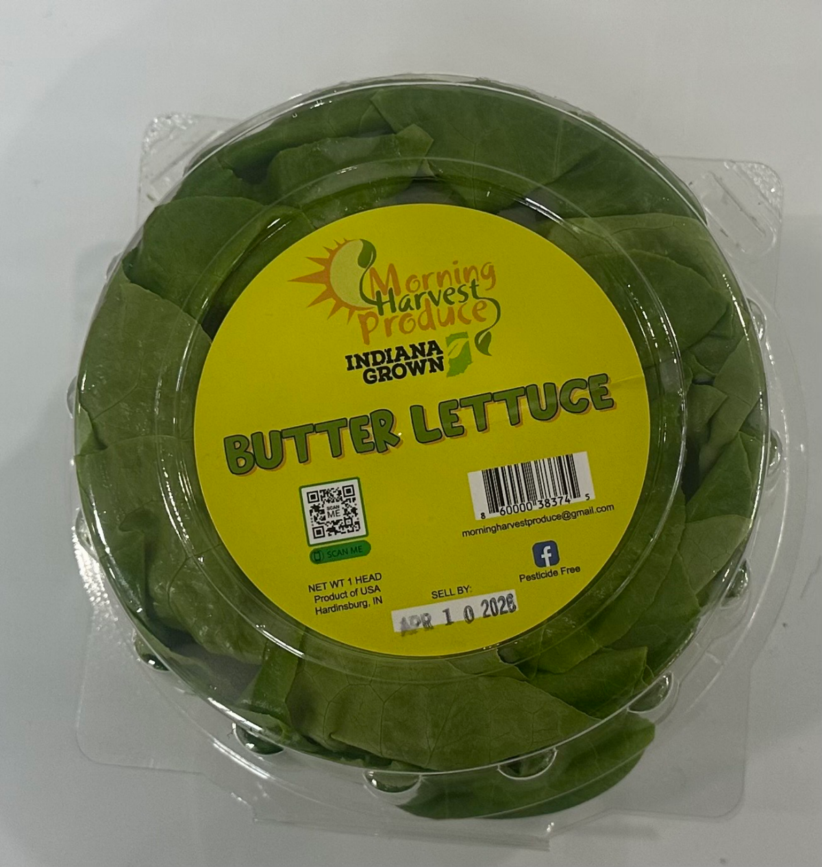 slide 1 of 1, Bibb Lettuce Clamshell, 1 ct