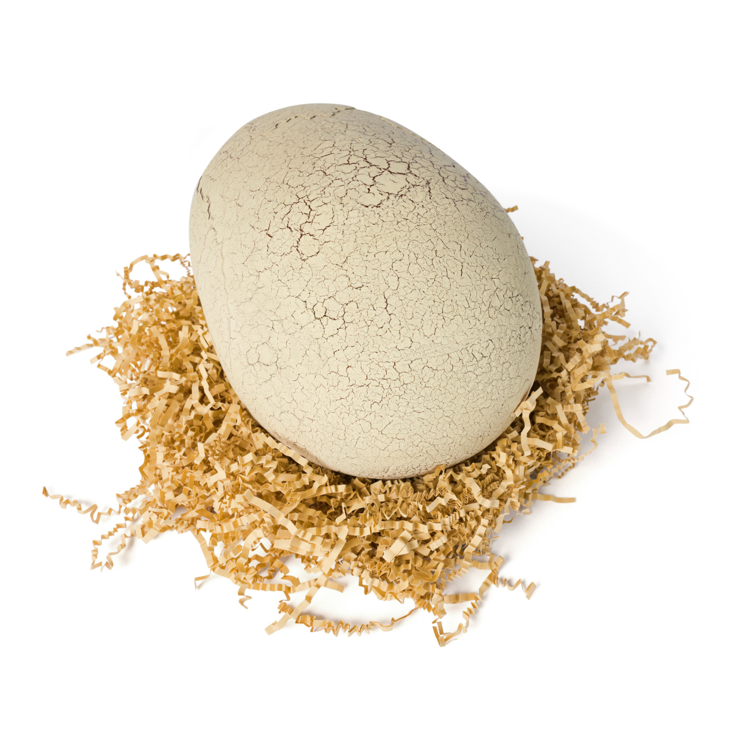 slide 8 of 8, Primal Hatch Interactive Hatching Dino Action Figure - Green, 1 ct