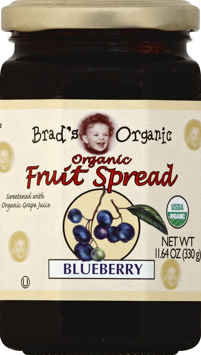slide 2 of 2, Brad's Organic Fruit Spread Blueberry, 11.64 oz