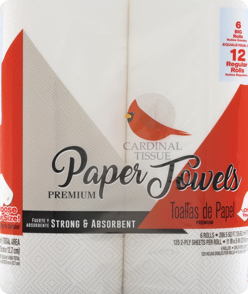 slide 10 of 11, Cardinal Tissue Premium Big Rolls 2-Ply Paper Towels 6 ea, 6 ct
