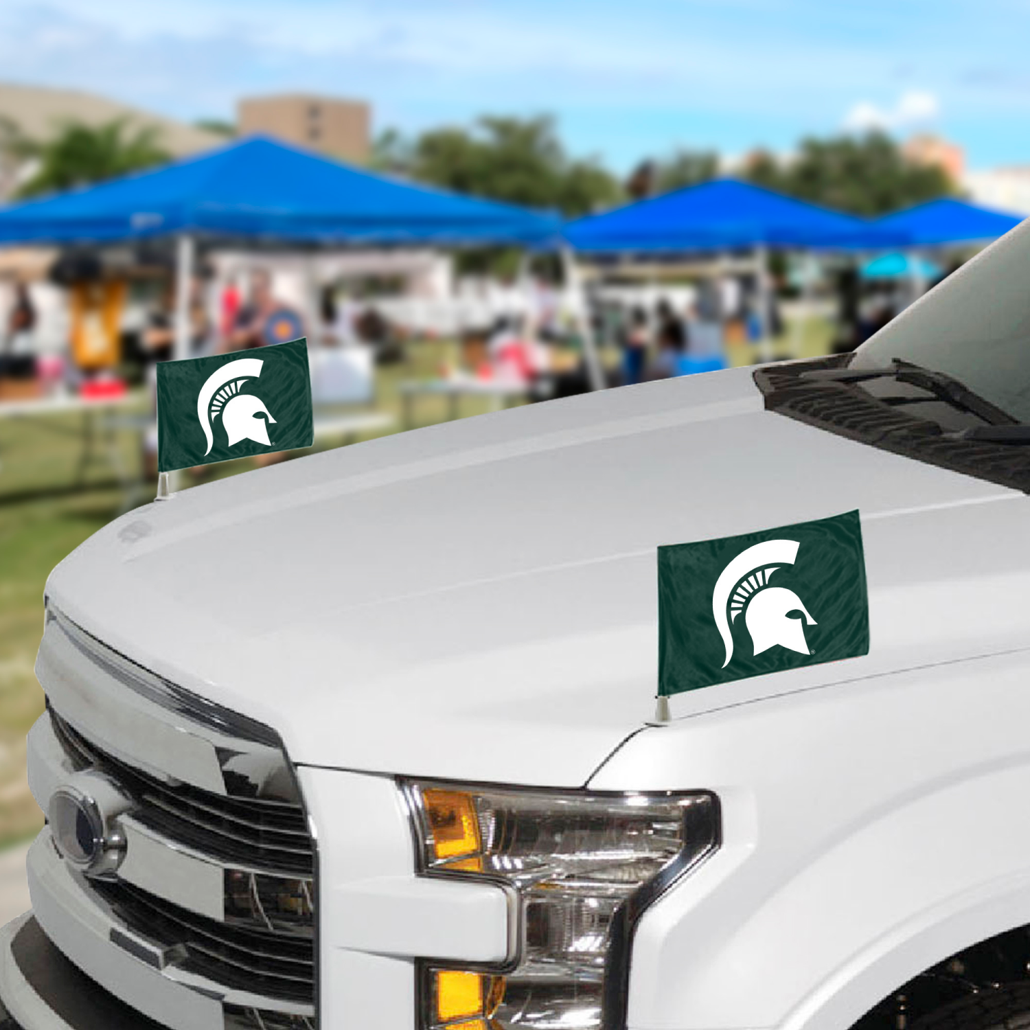 slide 2 of 2, Fanmats Ambassador Flag Mich State, 1 ct