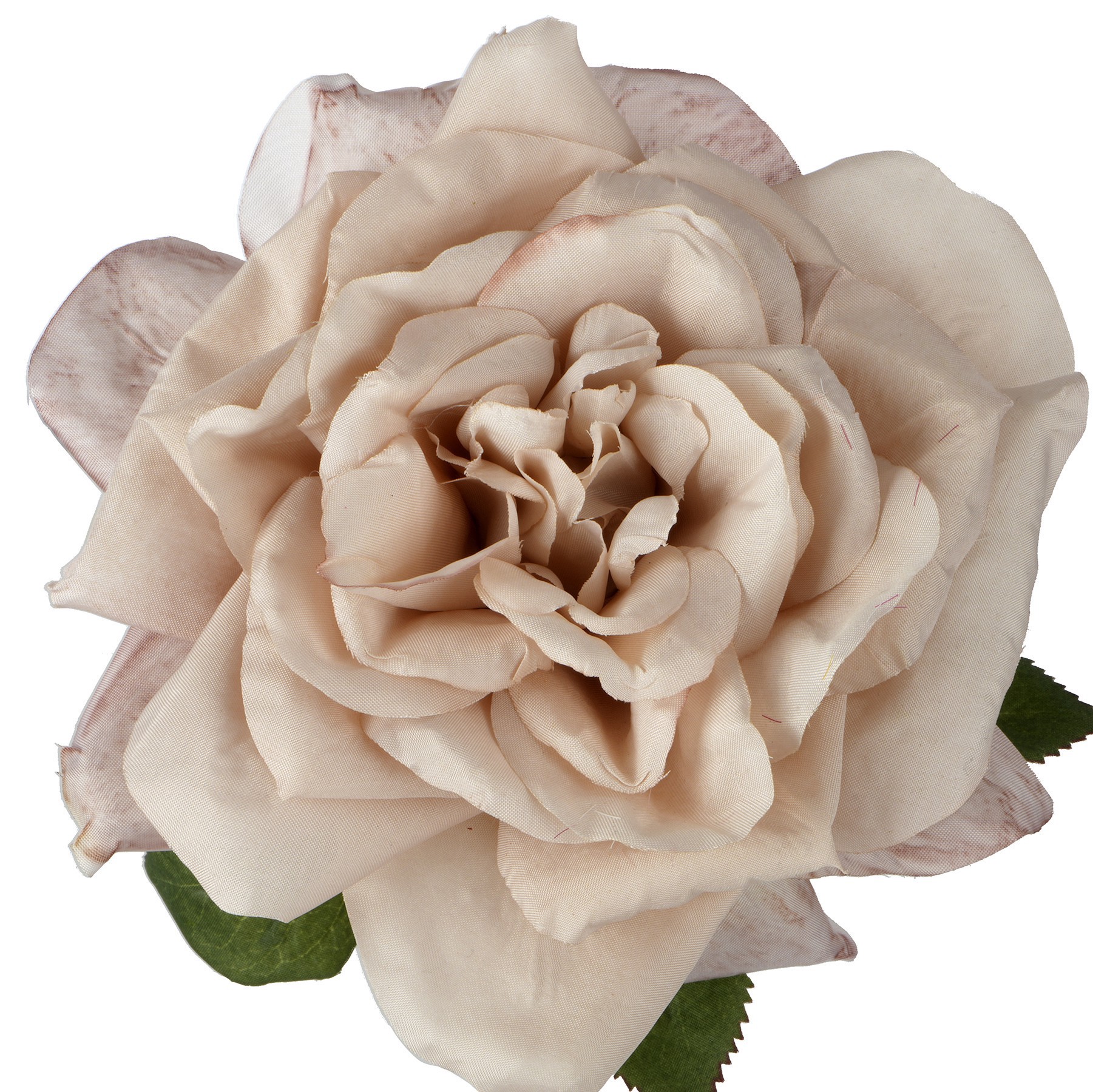 slide 2 of 2, 24" Beige Tea Rose By Ashland, 24 in