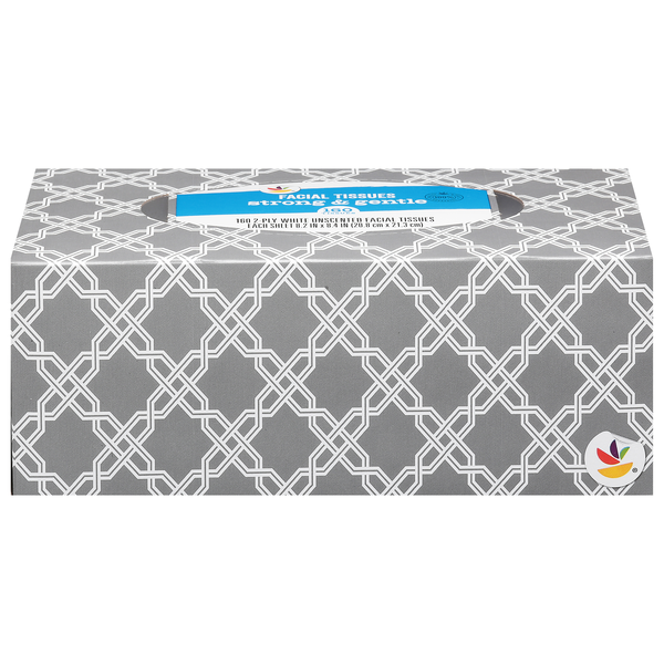 slide 1 of 1, Giant Strong & Gentle Facial Tissues 2-Ply Unscented, 160 ct