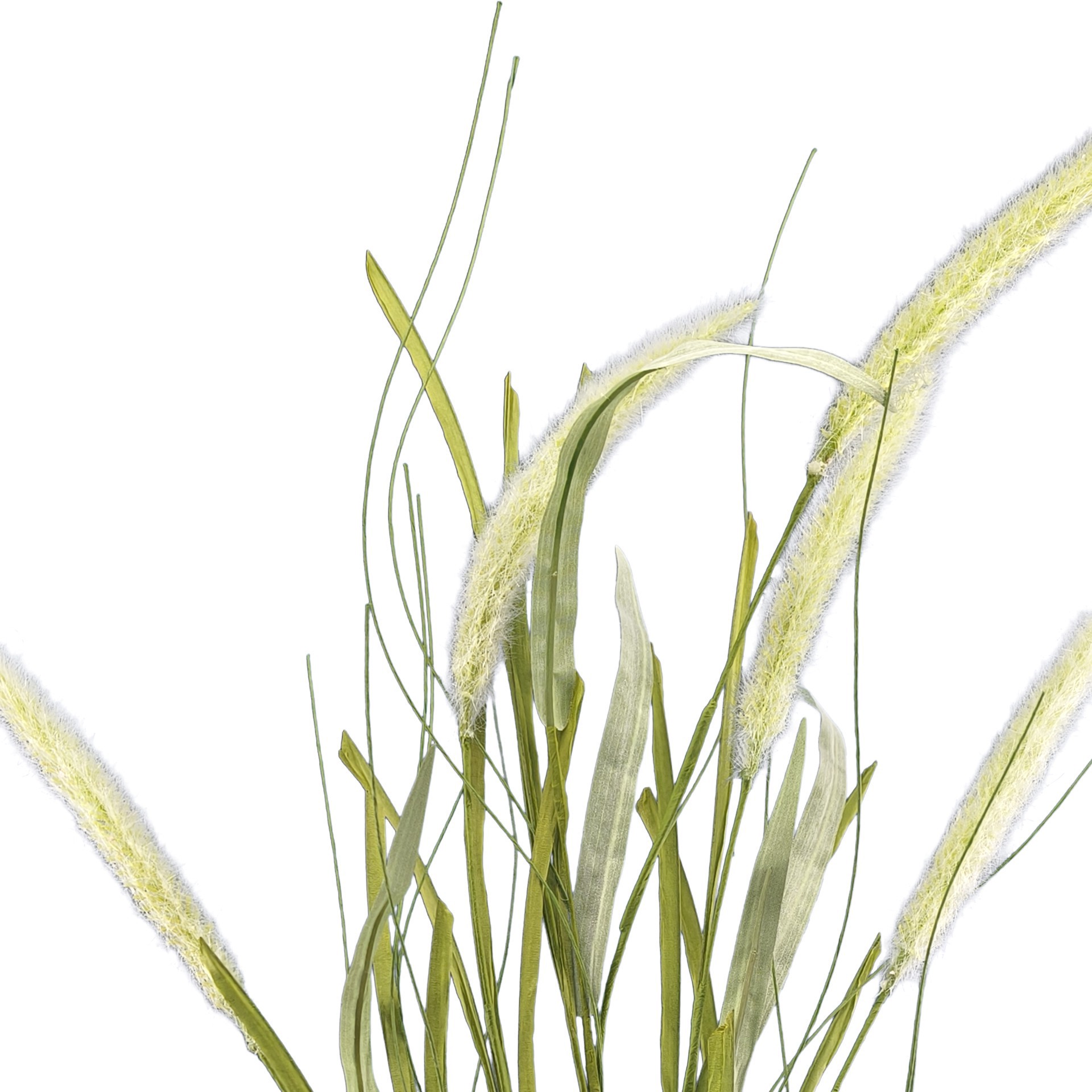 slide 2 of 3, 36" Cream Bunny Tail Stem By Ashland, 5 in x 1 in x 36 in