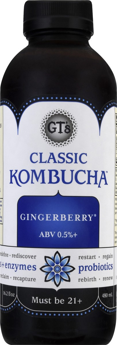 slide 6 of 9, GT's Kombucha Gingerberry, 16 oz