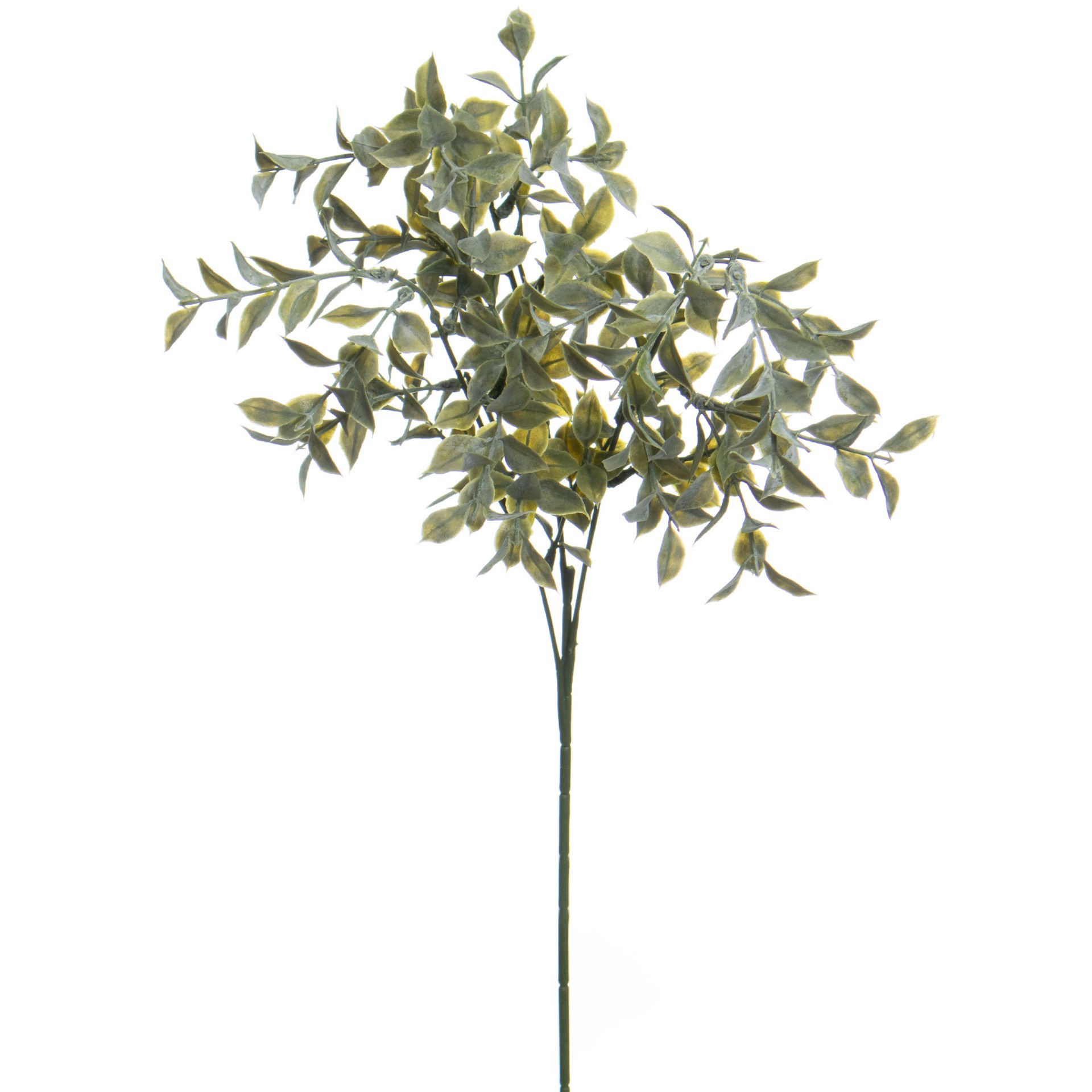 slide 3 of 3, 31" Green Tea Leaf Stem By Ashland, 31 in