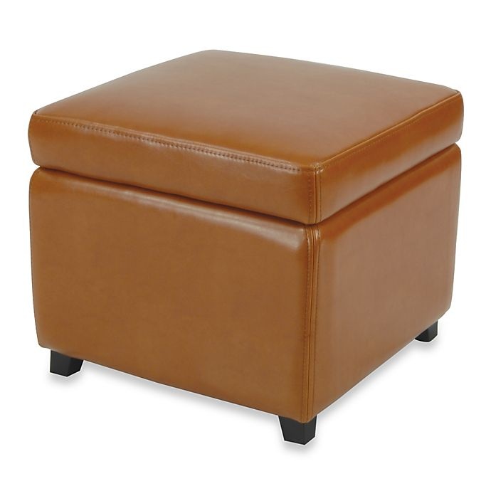 slide 1 of 2, Safavieh Hudson Leather Jonathan Storage Ottoman - Saddle, 1 ct