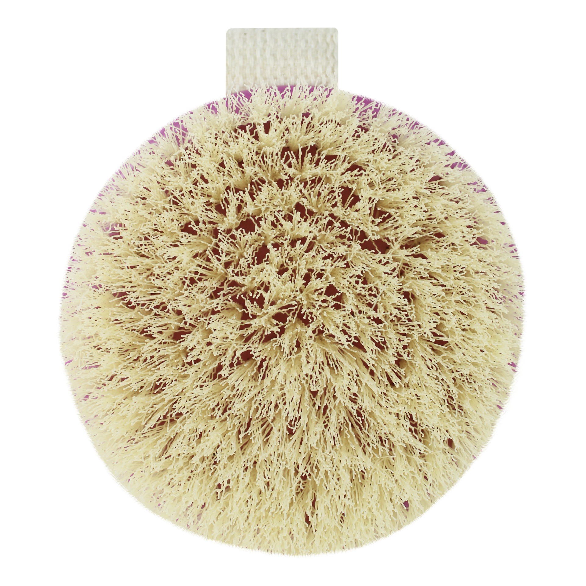 slide 1 of 3, EcoTools Dry Bath Brush, 1 ct