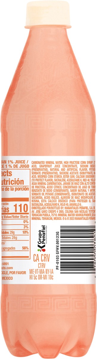 slide 4 of 11, Peñafiel Toronjada Sparkling Mineral Water Beverage- 20.3 fl oz, 20.3 fl oz