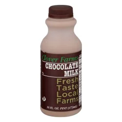 Chocoolate Milk Fresh - 16 fl oz