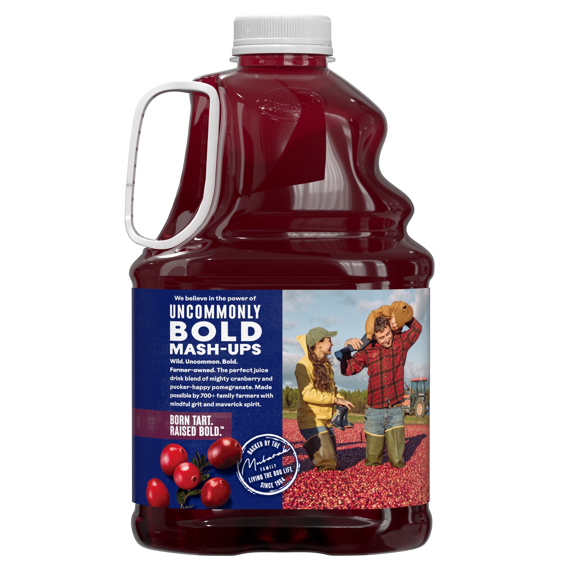 slide 2 of 6, Ocean Spray Cran-Pomegranate™ Cranberry Pomegranate Juice Drink, 101.4 Fl Oz Bottle, 101.40 fl oz