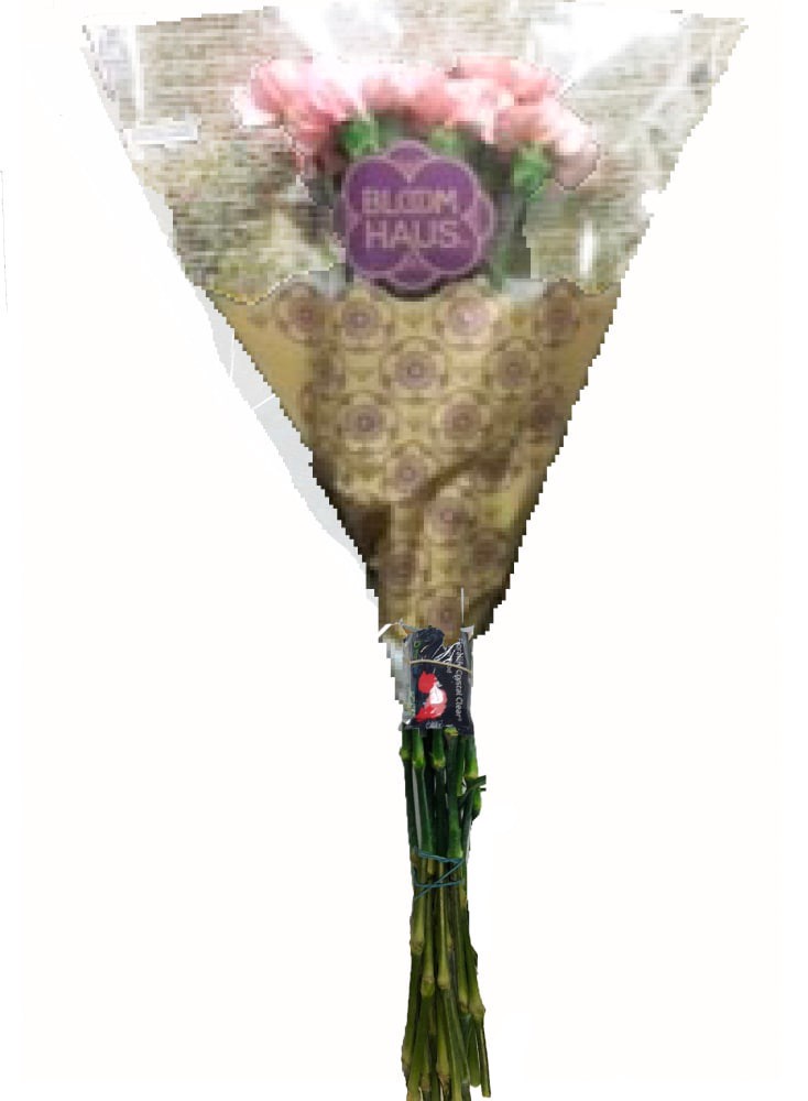 slide 2 of 2, 12 Stem Carnation Bunch, 12 ct