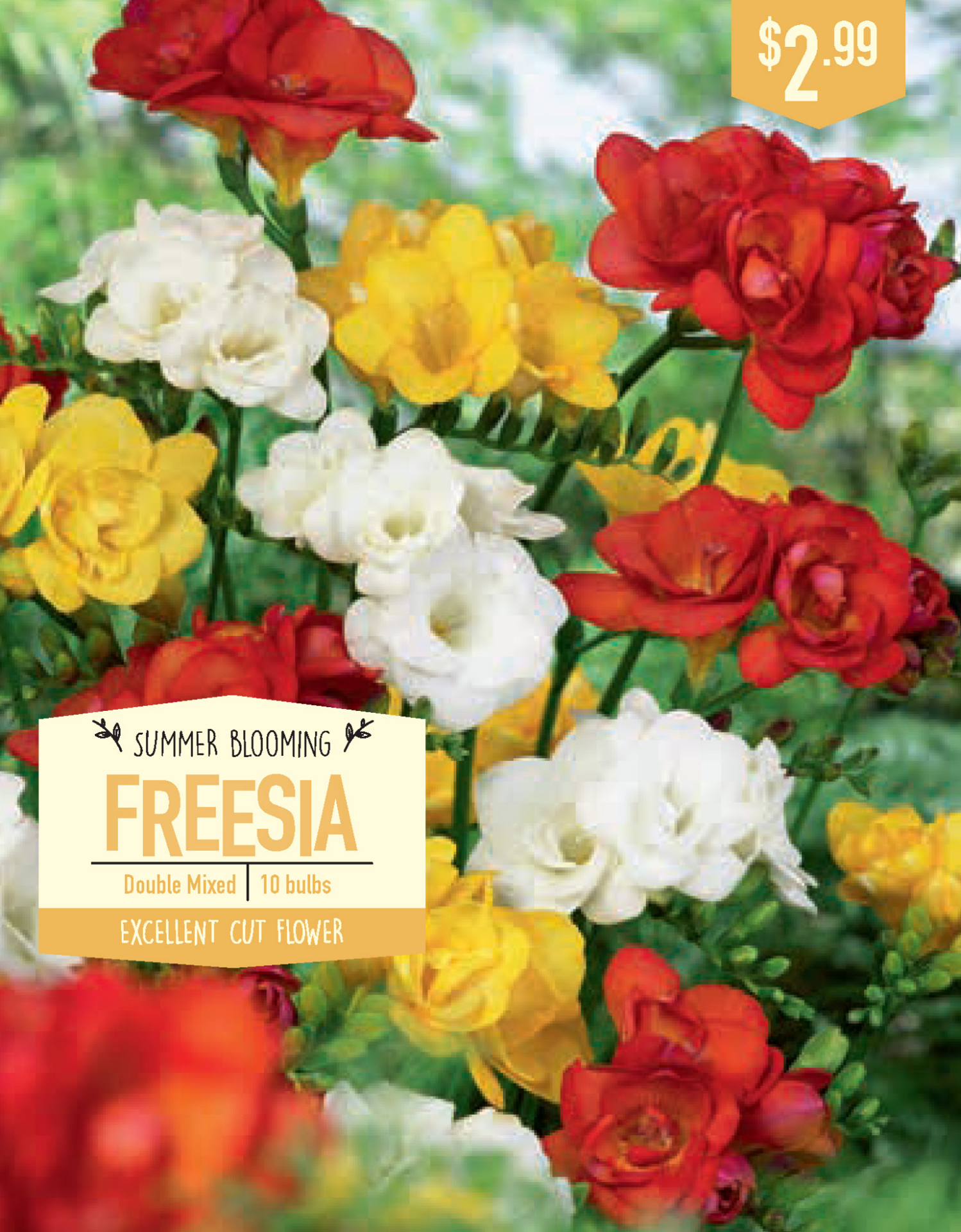 slide 1 of 1, Freesia Double Mixed, 10 ct