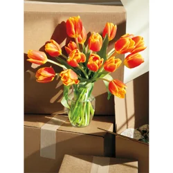 Avanti Card New Home Tulip Vase