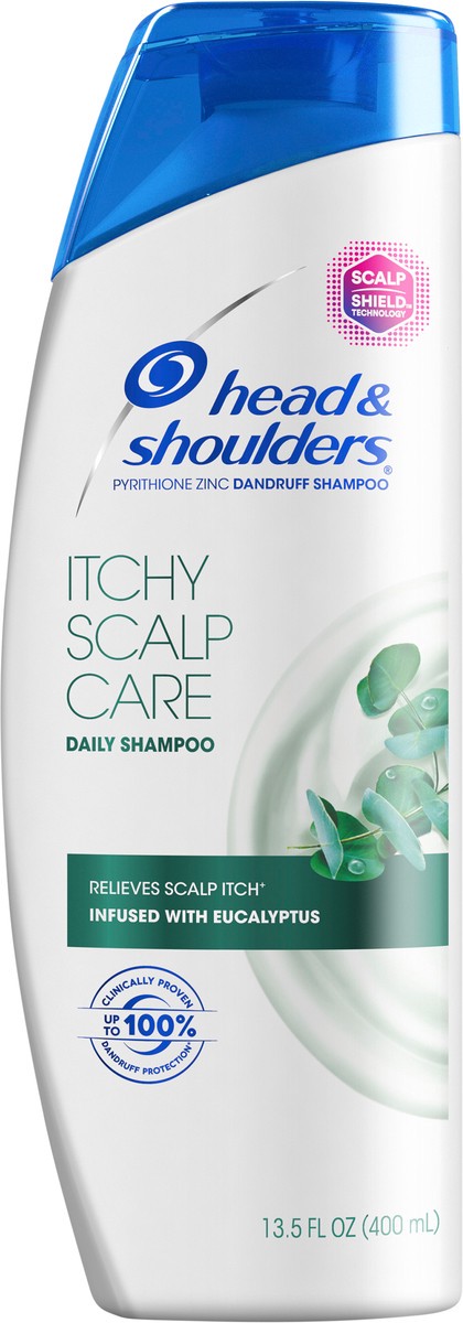 slide 3 of 3, Head & Shoulders Itchy Scalp Care Anti-Dandruff Shampoo, 13.5oz, 13.5 fl oz