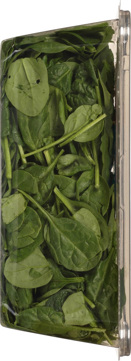 slide 4 of 13, Earthbound Farm Organic Baby Spinach 16 oz, 16 oz
