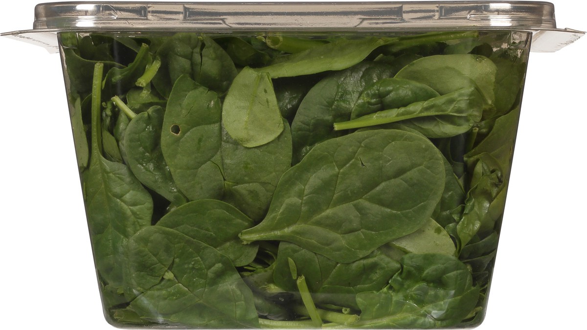 slide 8 of 13, Earthbound Farm Organic Baby Spinach 16 oz, 16 oz