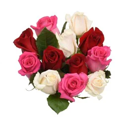 BLOOM HAUS Rainbow Assorted Roses