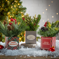 slide 2 of 9, Holiday Potted Pine Arrangement, 8 in