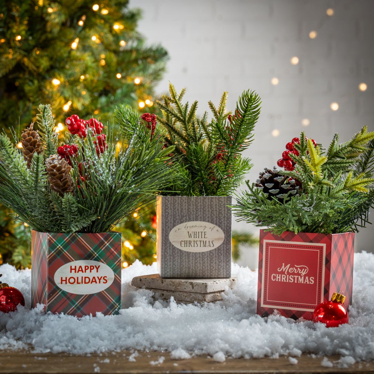 slide 9 of 9, Holiday Potted Pine Arrangement, 8 in