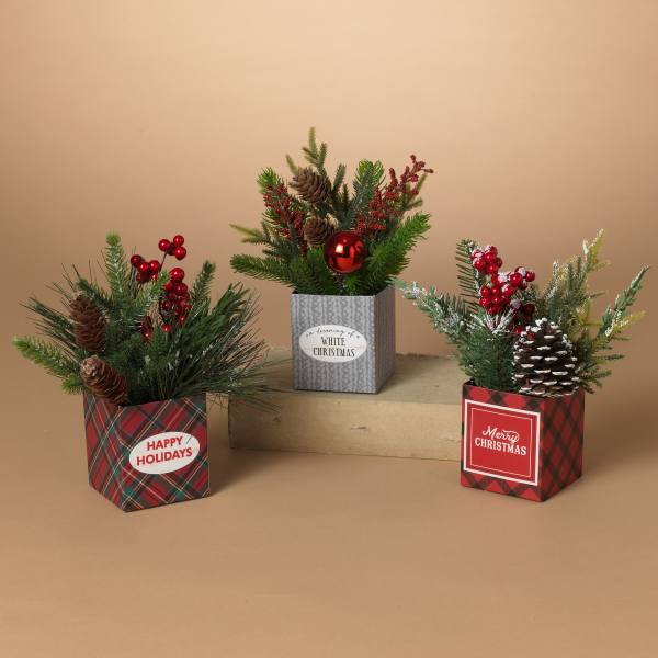 slide 5 of 9, Holiday Potted Pine Arrangement, 8 in