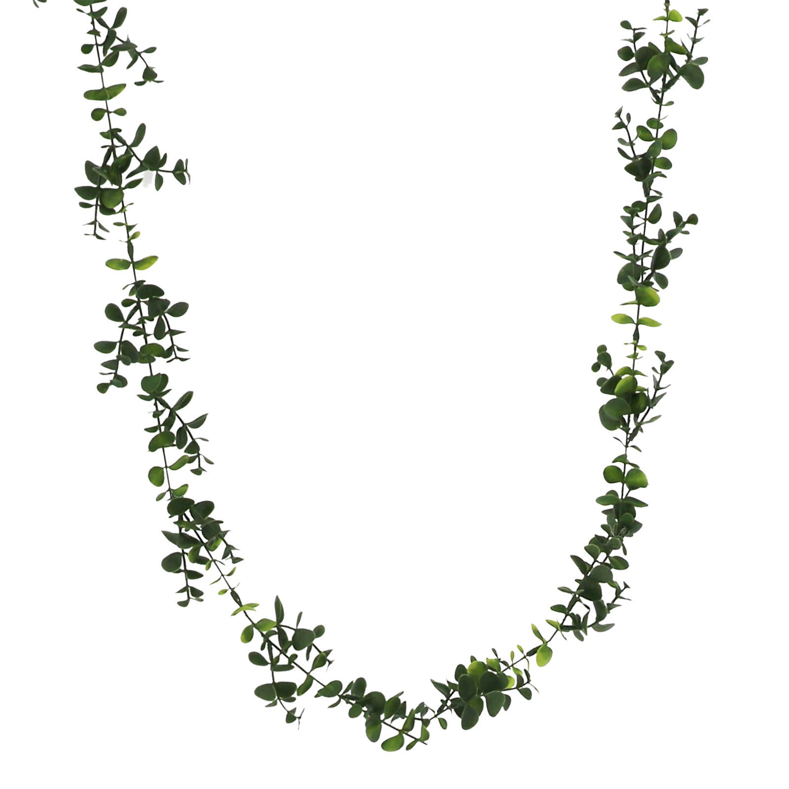 slide 2 of 2, 5ft. Eucalyptus Coiled Garland By Ashland, 5 ft