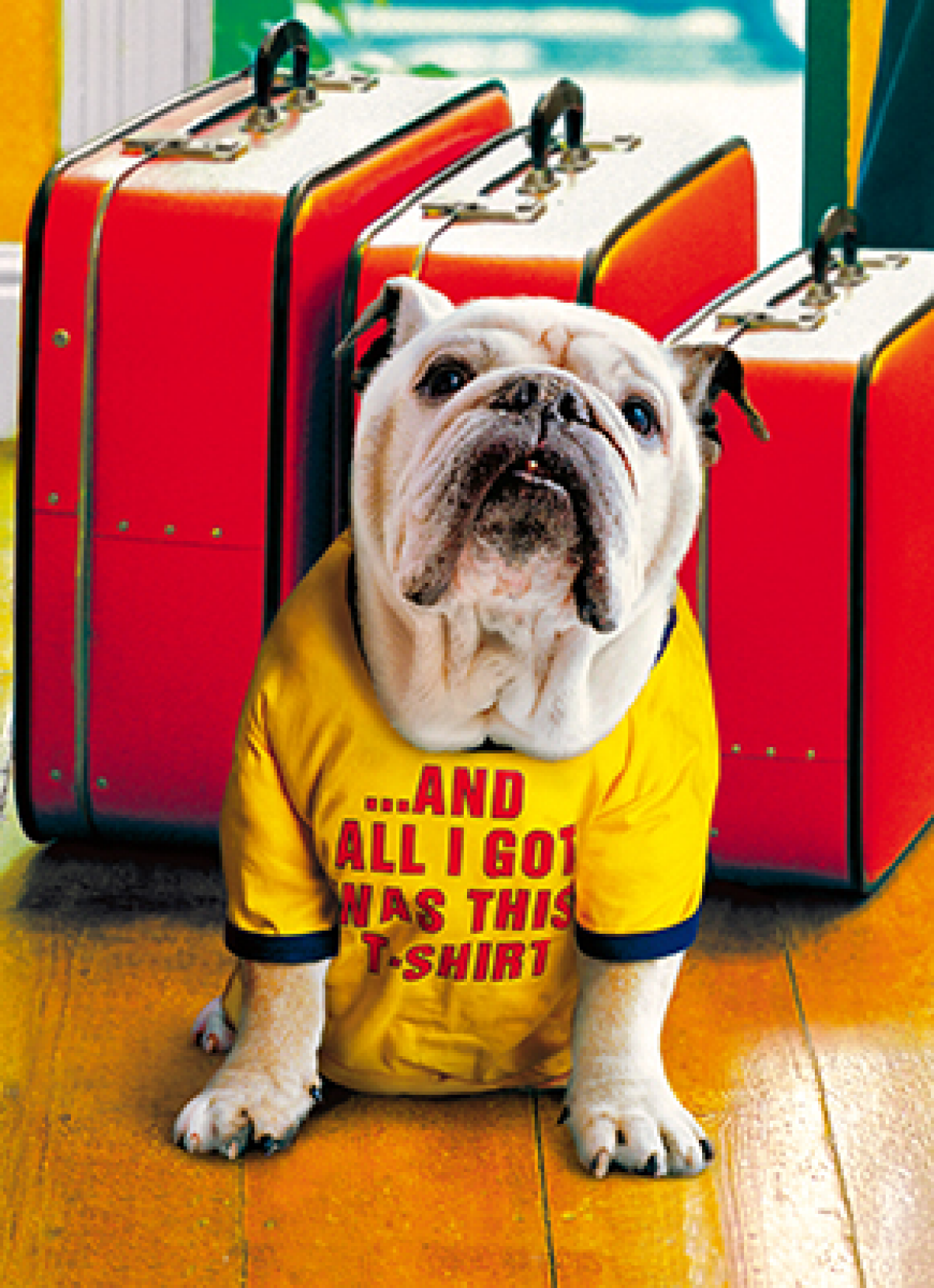 slide 1 of 1, Avanti Card Pet Bulldog In Vacation Shi, 1 ct