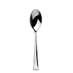 Dash of That Brin Dinner Spoon