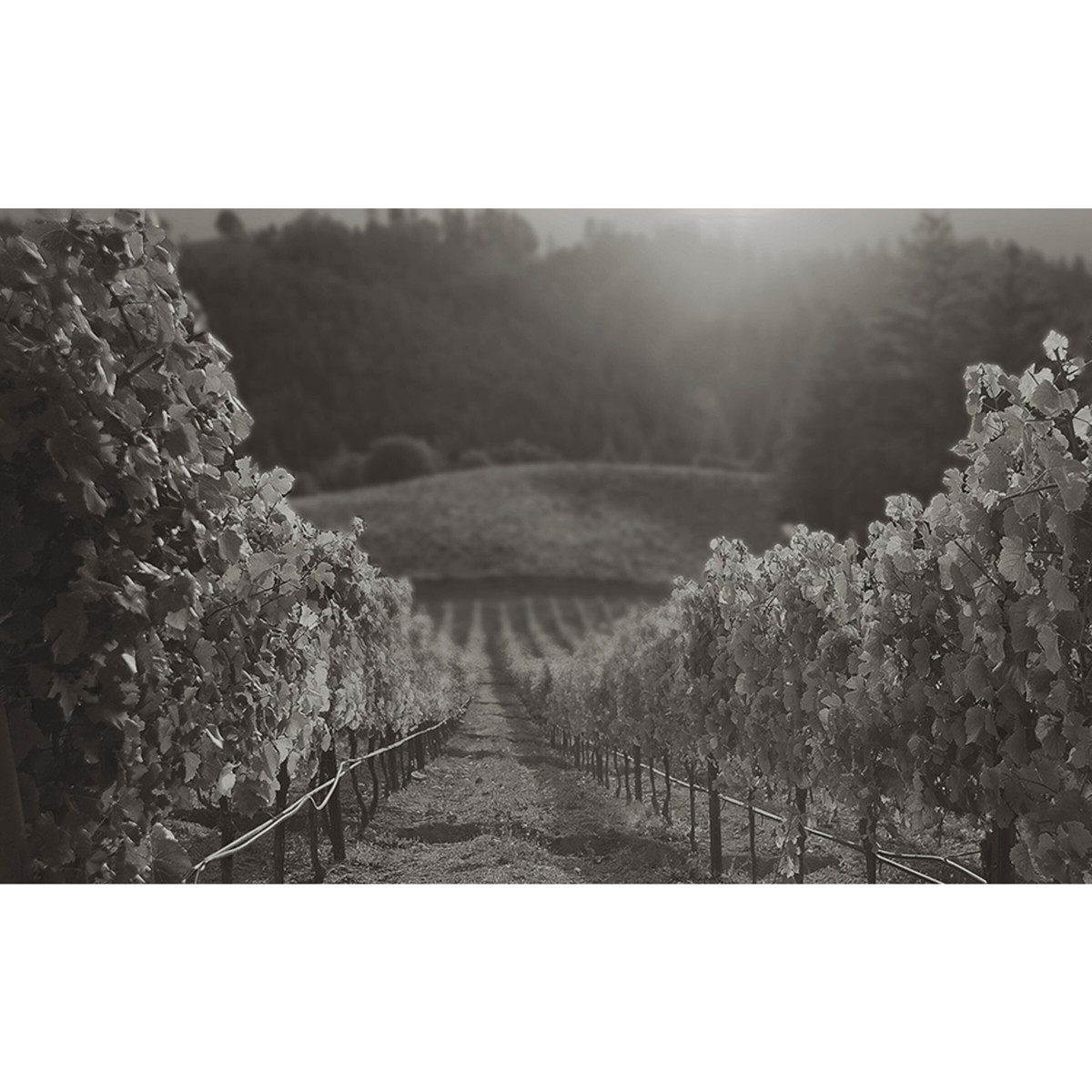 slide 7 of 8, Charles & Charles Bolt Cabernet Sauvignon - 750ml Bottle, 750 ml