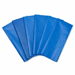 American Greetings Tissue Paper, Blue