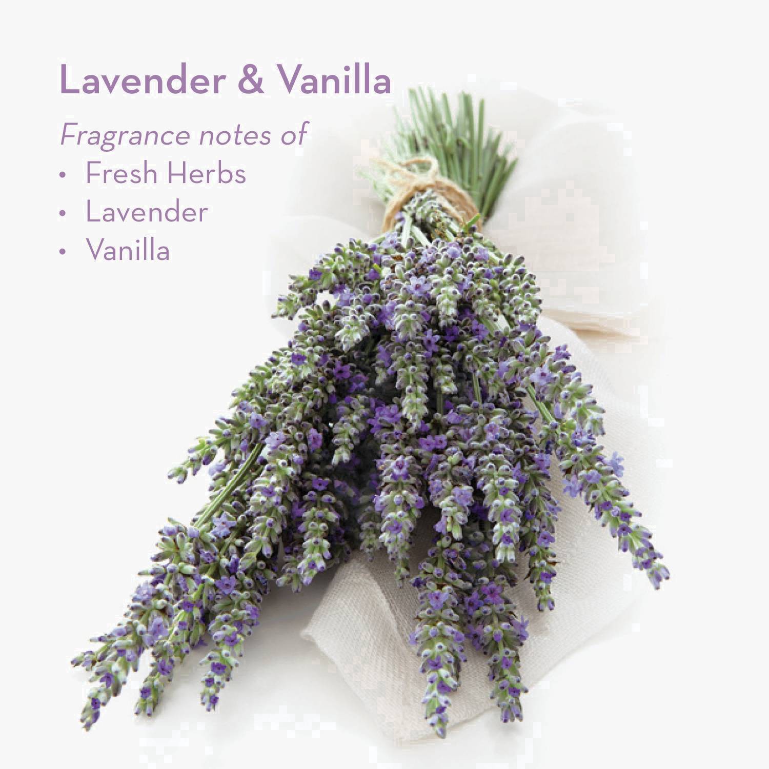 slide 23 of 28, Glade Car Vent Oil Lavender Vanilla Air Freshener, 1 ct