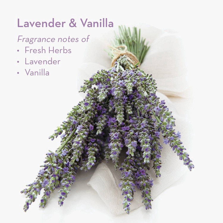 slide 7 of 28, Glade Car Vent Oil Lavender Vanilla Air Freshener, 1 ct