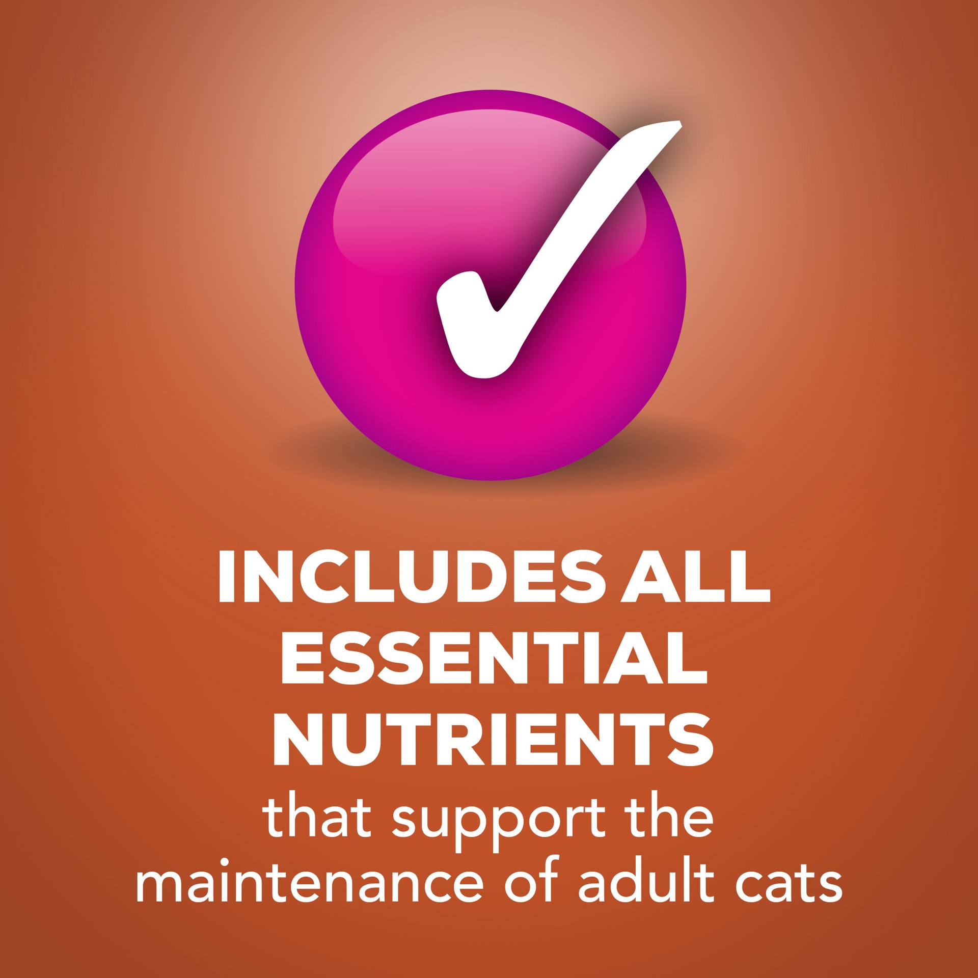 slide 3 of 7, Friskies Purina Friskies Gravy Wet Cat Food, Meaty Bits Gourmet Grill, 5.5 oz