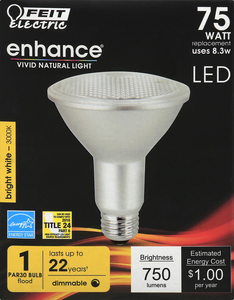 slide 1 of 11, Feit Electric Light Bulb 1 pc, 1 ct