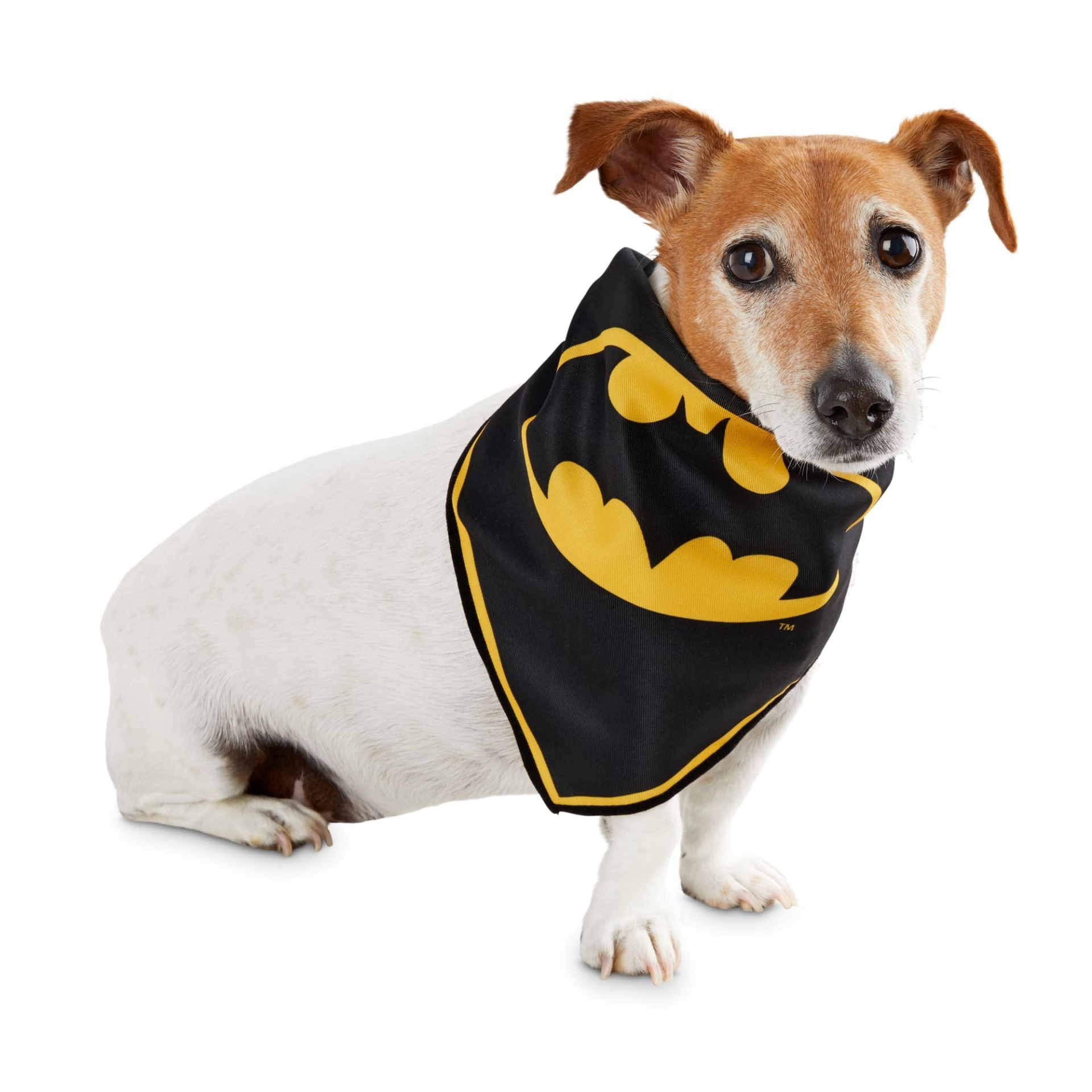 slide 1 of 1, DC Comics Justice League Batman Dog Bandana, Small/Medium