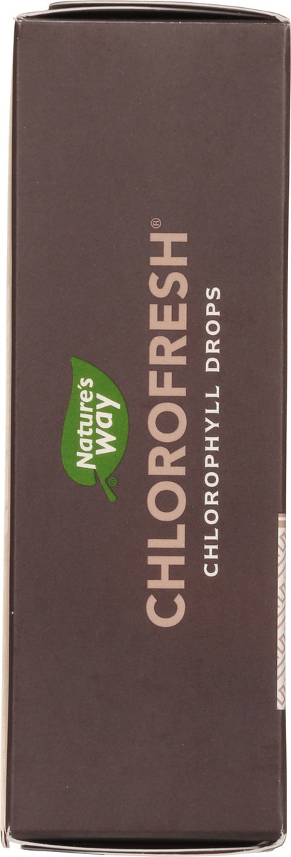 slide 5 of 9, Nature's Way Chlorofresh Chlorophyll Drops, 2 oz