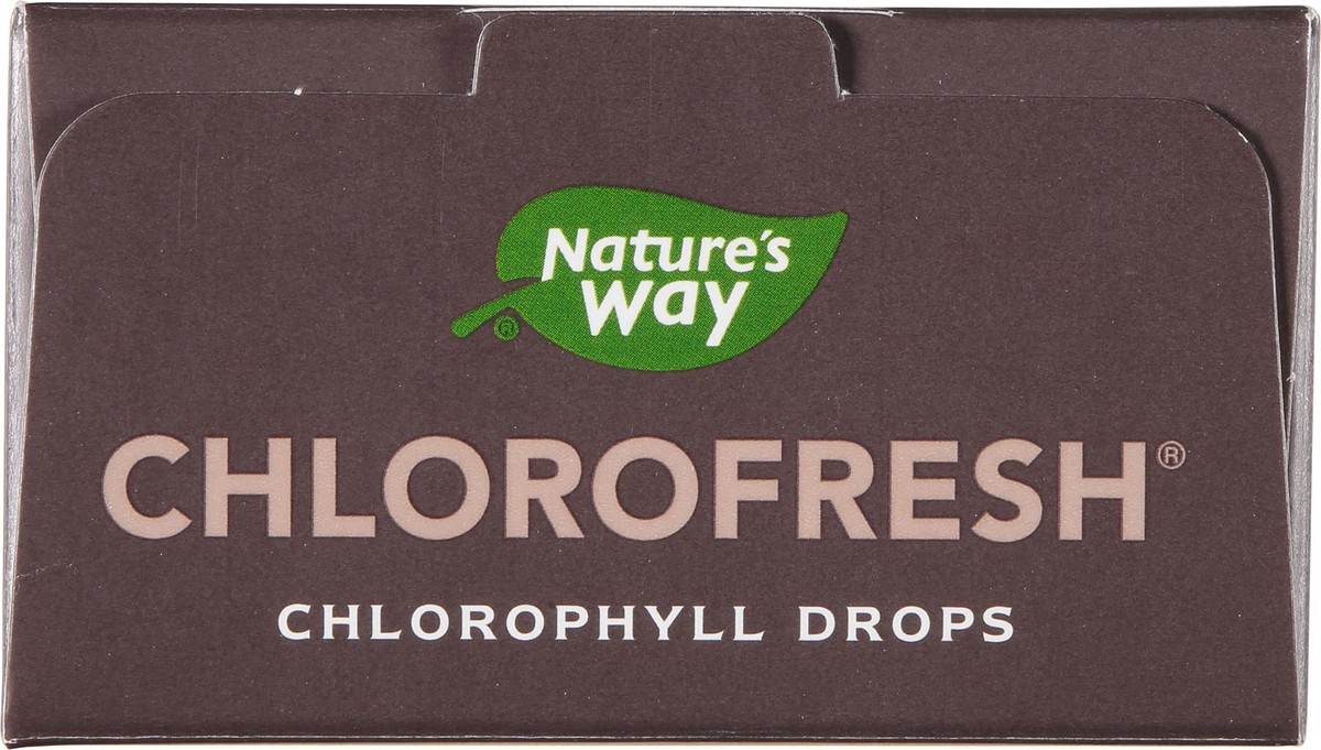 slide 6 of 9, Nature's Way Chlorofresh Chlorophyll Drops, 2 oz