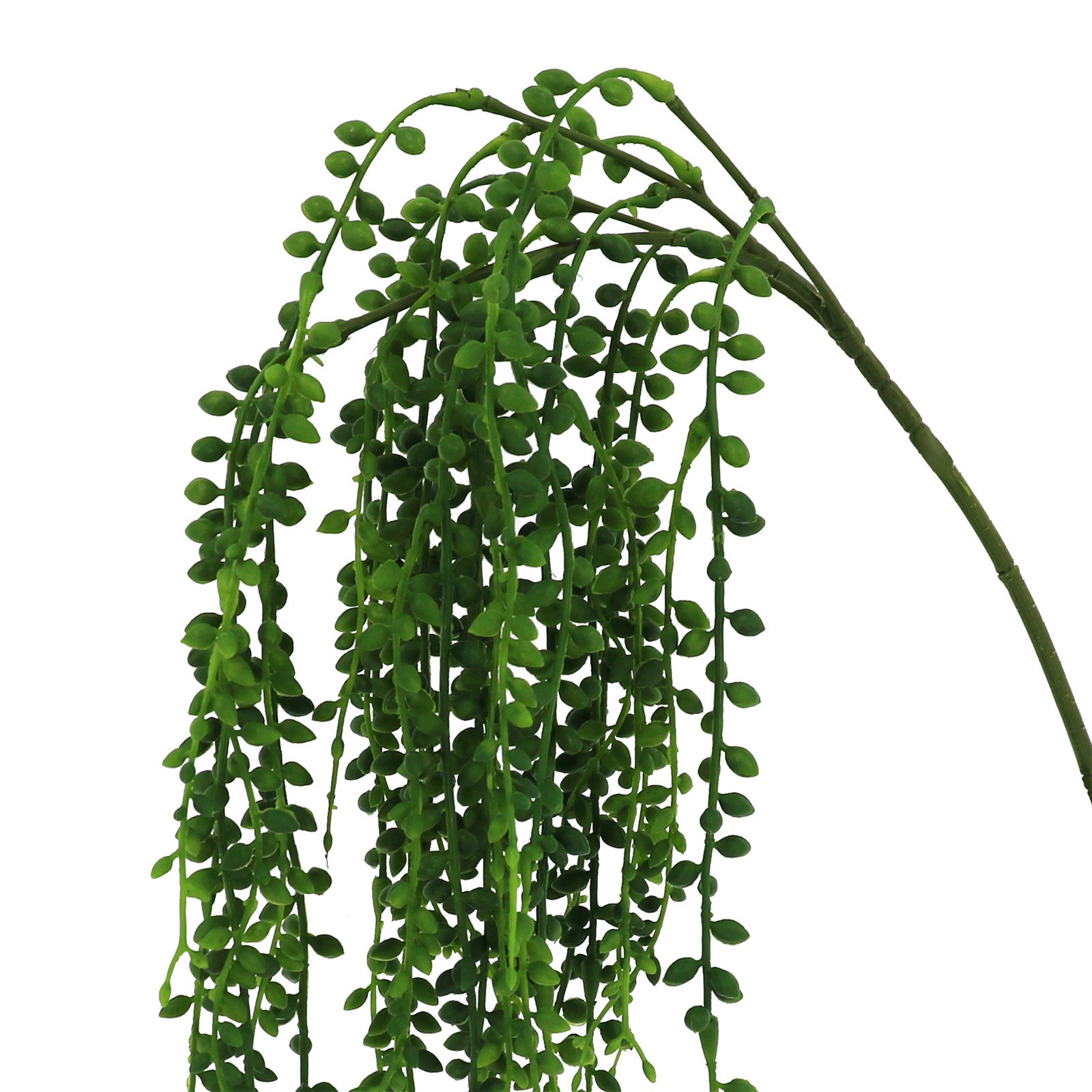 slide 2 of 2, 20" Hanging Succulent Stem By Ashland, 20 in