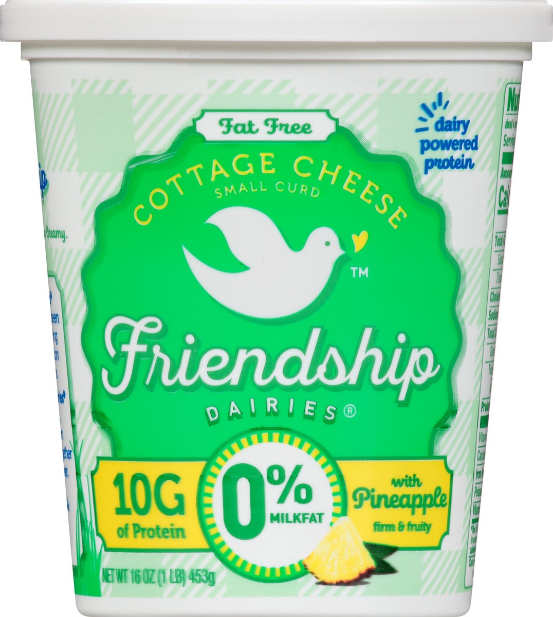 slide 5 of 12, Friendship Dairies Fat Free Small Curd with Pineapple Cottage Cheese 16 oz, 16 oz