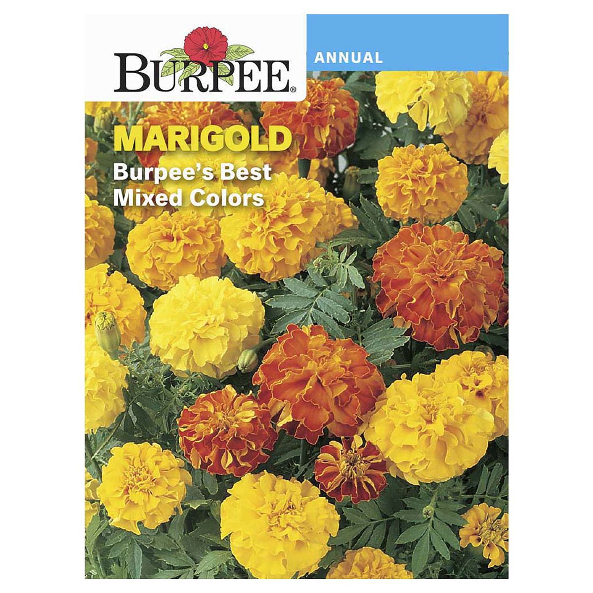 slide 1 of 5, Burpee Marigold Burpee's Best Mix Seeds, 1 ct