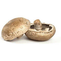 Phillips Mushroom Farms Organic Portabella Caps