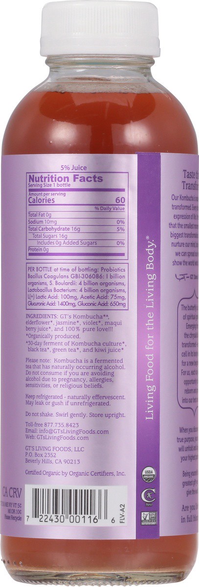 slide 2 of 9, GT's Gt's Synergy Raw Kombucha Seasonal - 16.2 fl oz, 16.2 fl oz