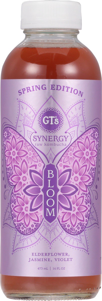 slide 3 of 9, GT's Gt's Synergy Raw Kombucha Seasonal - 16.2 fl oz, 16.2 fl oz